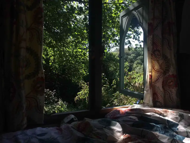 Looking out from the bed through the open arched window into the woodland