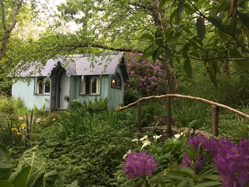 The blue Tabernacle among purple rhododendrons, beside a rustic wooden bridge