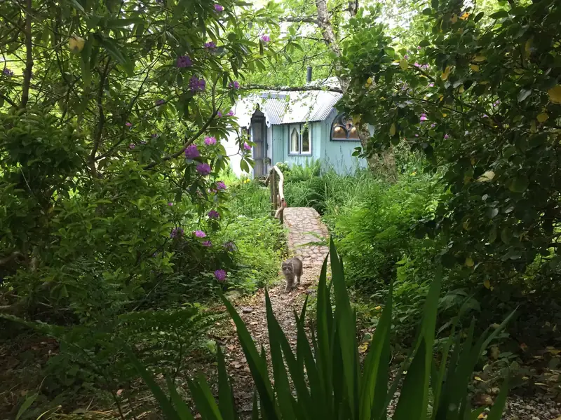 The hut glimpsed through ferns down a woodland path