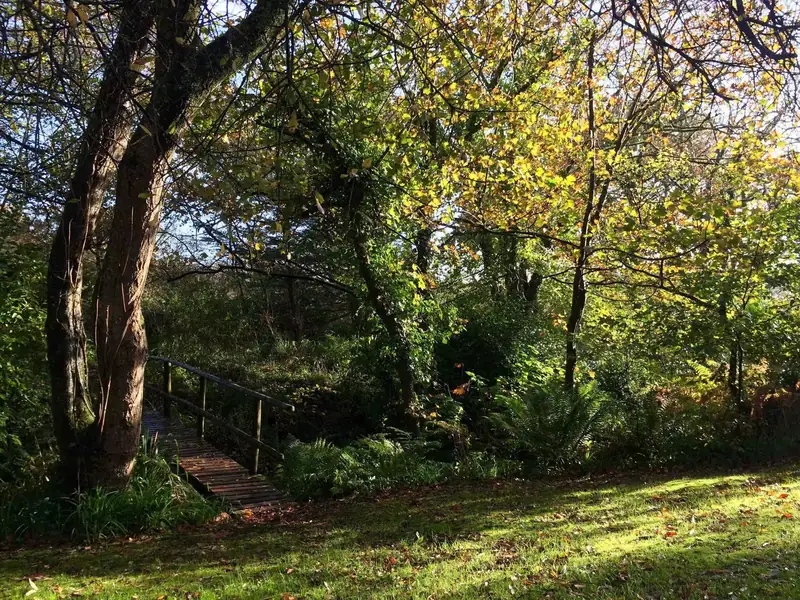 Dappled autumn sunlight over a wooden footbridge in the woods